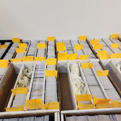 One Piece tcg Card Game 100 Cards Collection Mixed Lot w/ 10 FOILS/5 Leaders. - Image 5