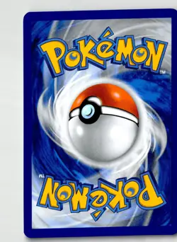 Skwovet 131/159 Common Journey Together Pokemon Reverse Holo Lightly Played - Image 2