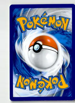 Skwovet 127/198 Common Chilling Reign Pokemon Reverse Holo Lightly Played - Image 2