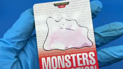 Ditto pokemon card dass nintendo bandai Japanese - Image 2