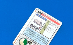 Ditto pokemon card dass nintendo bandai Japanese - Image 4