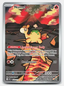 Numel 223/217 Illustration Rare Ascended Heroes Pokemon Near Mint - Image 1
