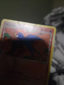Taillow (Delta Species) 66/101 Dragon Frontiers Reverse Holo MP - Image 3