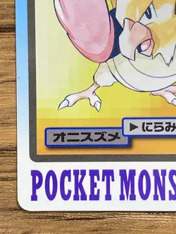 Pokemon Carddass Card Spearow File No.21 Bandai Pocket Monsters 1997 Japan - Image 5