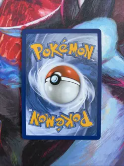 Squirtle MEP039 First Partner's Promo Near Mint Pokemon TCG NM - Image 2
