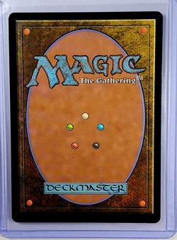 2024 MTG Magic the Gathering Secret Lair Drop Rainbow Foil 824 Evolving Wilds LP - Image 2