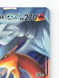 Reshiram & Glurak -GX - Pokemon Karte TCG 20/214 Holo Krafte im Einklang /F37 - Image 4