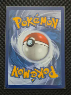 Pokemon Turtwig MEP 040 Mega Evolution Black Star Promo Illustration Rare NM/M - Image 2