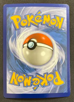 POKEMON UNGRADED UMBREON & DARKRAI GX - SM241 HOLO P SUN & MOON PROMO NM - Image 3