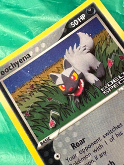 Poochyena 79/113 - EX Delta Species Reverse Holo Stamped Pokemon TCG NM- Card - Image 3