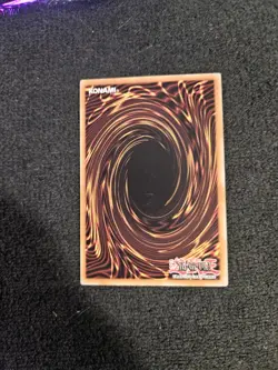 Warrior Lady of the Wasteland - YS11-EN020 - Common - 1st Edition - Image 2