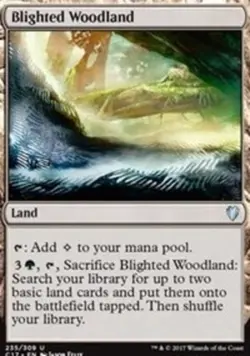 Blighted Woodland - Commander 2017 #235/309 MTG Magic The Gathering - Image 1