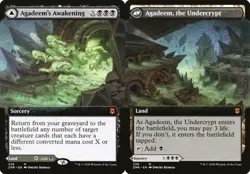 Agadeem's Awakening // Agadeem, the Undercrypt - Extended Zendikar Rising NM MTG - Image 1