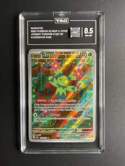 Maractus 160 TAG 8.5 2025 Pokemon JTG EN Illustration Rare - Image 1