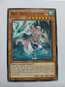 Yugioh Wiz, Sage Fur Hire Common MP19-EN252 1st Ed Near Mint - Image 1
