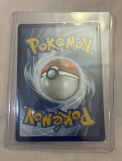 Pokemon SV07 Stellar Crown Terapagos ex 170/142 Special Illustration Rare SIR NM - Image 2