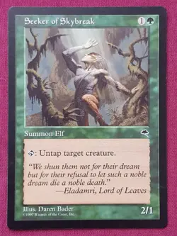 Magic The Gathering TEMPEST SEEKER OF SKYBREAK green card MTG - Image 1