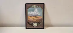 1998 MTG/Magic Basic Plains English - Unglued (UGL) - See Pictures DMG - Image 1