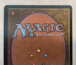 1x Adarkar Wastes Ice Age MTG Magic the Gathering MP - Image 5