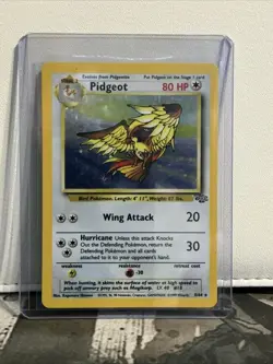 Pokemon TCG Pidgeot Holo Rare Card 8/64 Jungle Unlimited Vintage - Image 1