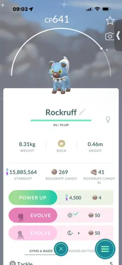 Pokemon Go Shiny Rockruff - Image 1