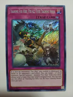 Yugioh Training Fur Hire, Fur All Your Training Needs Secret DASA-EN026 LP - Image 1