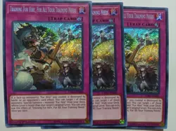 Yugioh Training Fur Hire, Fur All Your Training Needs X3 Secret DASA 1st Playset - Image 1