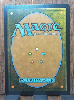 MTG❤ Living Death ( FOIL Showcase ) Commander: Duskmourn: House of Horror NM❤ - Image 3