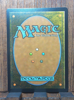 MTG❤ Living Death ( FOIL Showcase ) Commander: Duskmourn: House of Horror NM❤ - Image 4