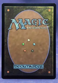 Forest (0892) - MTG Rainbow FOIL - Secret Lair SLD - NM - Image 3