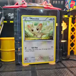Minccino Black & White Pokemon TCG 88/114 Common - Image 3