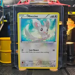 Minccino Emerging Powers Pokemon TCG 84/98 Black & White 2 Common - Image 1