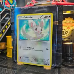 Minccino Emerging Powers Pokemon TCG 84/98 Black & White 2 Common - Image 2
