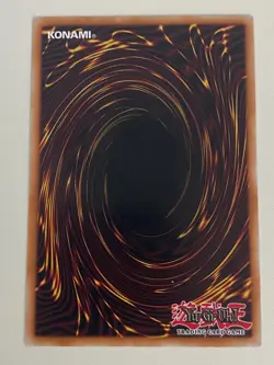 Yugioh - Red Wyvern - 1st Edition MP - Plus Free Holographic Card - Image 2