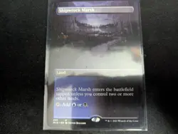 MTG Magic the Gathering Shipwreck Marsh Borderless MID! - Image 1