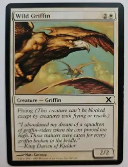 MTG Magic The Gathering Card Wild Griffin Creature Griffin White X 10th Edition - Image 1
