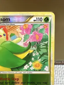 Bellossom 1/90* PL Pokemon Cards Holo Rare Vintage - Image 3