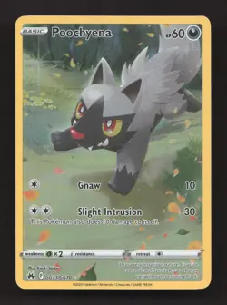 Poochyena GG33/GG70 Holo Crown Zenith Galarian Gallery Pokemon Holo NM - Image 1