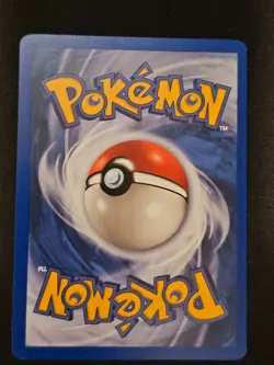 Pokemon TCG Sandslash 93 Skyridge Mint Near Mint (non-holo) - Image 4