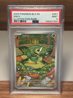 Snivy 087/086 SV: Black Bolt Illustration Rare Holo English PSA 9 - Image 1