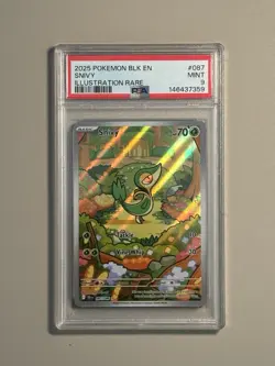 Snivy 087/086 SV: Black Bolt Illustration Rare Holo English PSA 9 - Image 2