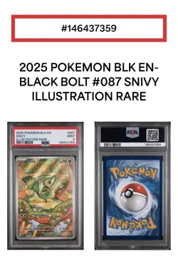 Snivy 087/086 SV: Black Bolt Illustration Rare Holo English PSA 9 - Image 4