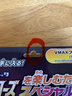 Pokemon TCG: Japanese Eevee Heros VMAX Collection Box Sealed (read description) - Image 3
