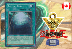 Ancient Forest - ANPR-EN048 - Super Rare - Foil MP - Image 1