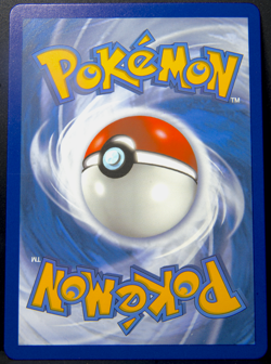 Froakie SV11/SV94 (NM) - SM Hidden Fates Shiny Vault - Baby Shiny Pokemon TCG - Image 2