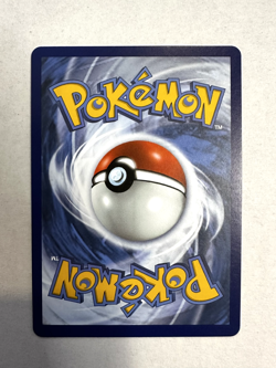 Blaziken V 020/198 Pokemon Chilling Reign Sword & Shield Ultra Rare NM or better - Image 2
