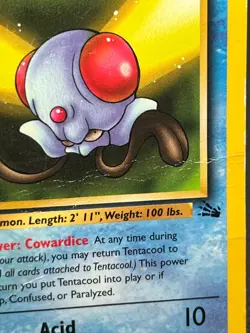Pokemon TCG - Tentacool 56/62 | 1999 Fossil | 1st Edition Vintage - HP - Image 3