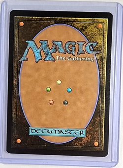 2025 MTG Magic the Gathering SLD Secret Lair Drop SpongeBob Foil #1943 Forest - Image 2