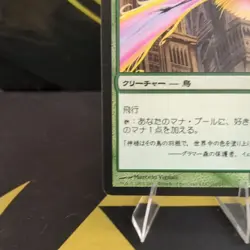 Magic: The Gathering Birds of Paradise 165/249 M12 Core Set Japanese - Image 4