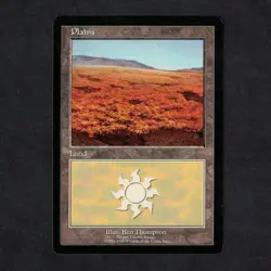 MAGIC MTG - VO Euro Lands Plains Plaine Steppe Tundra Russia - Image 1